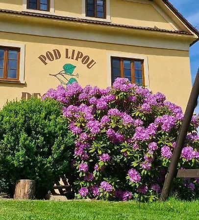 Guest house Pod Lipou 3*